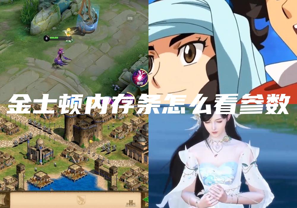 金士顿内存条怎么看参数