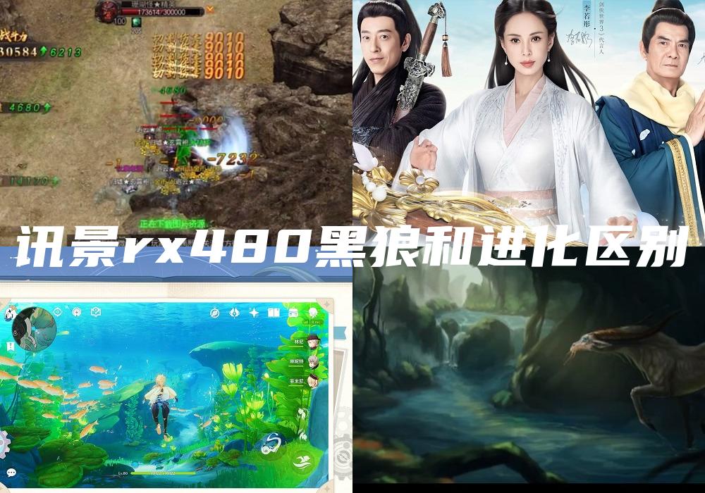 讯景rx480黑狼和进化区别