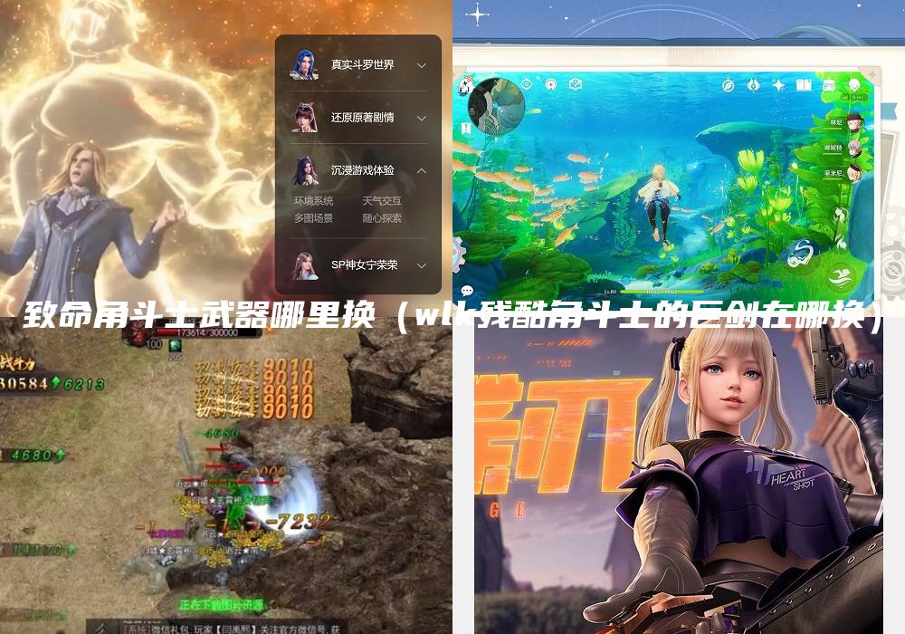 致命角斗士武器哪里换（wlk残酷角斗士的巨剑在哪换）
