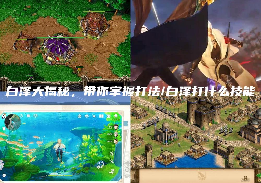 白泽大揭秘，带你掌握打法/白泽打什么技能