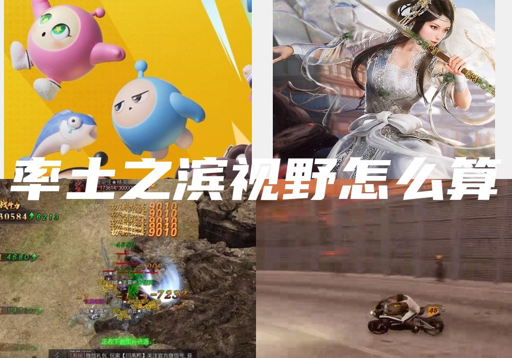 率土之滨视野怎么算