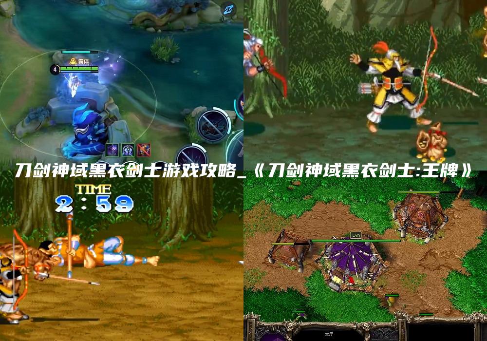 刀剑神域黑衣剑士游戏攻略_《刀剑神域黑衣剑士:王牌》