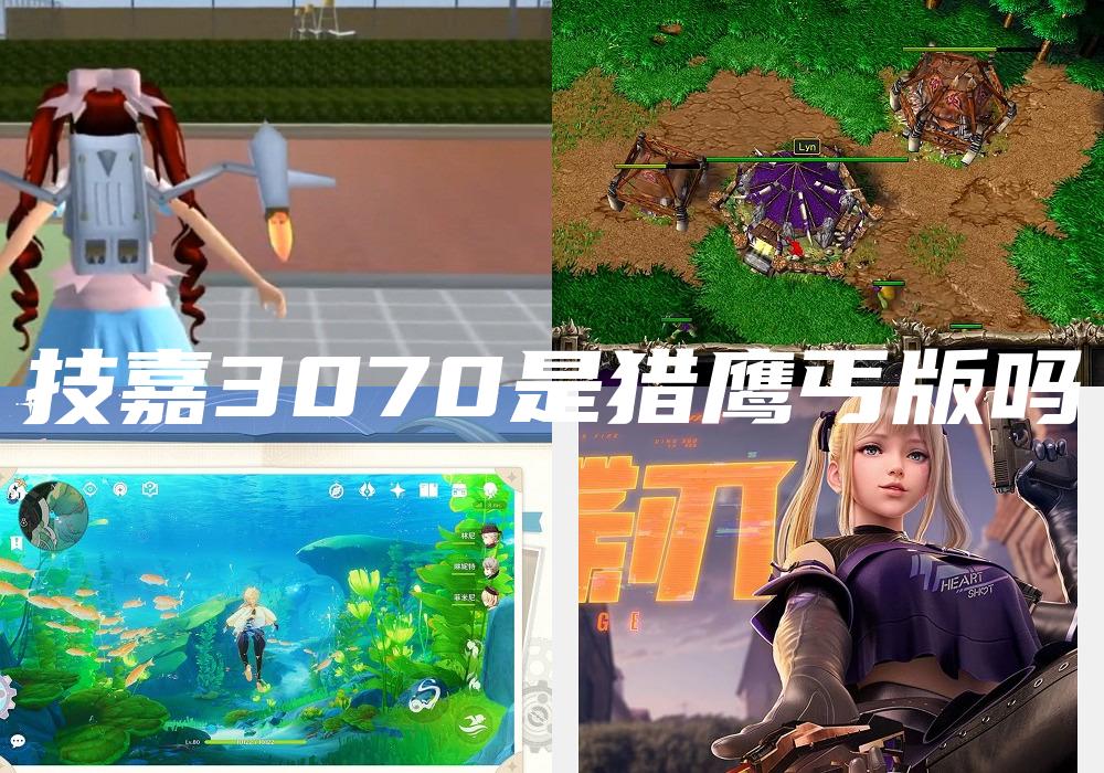 技嘉3070是猎鹰丐版吗