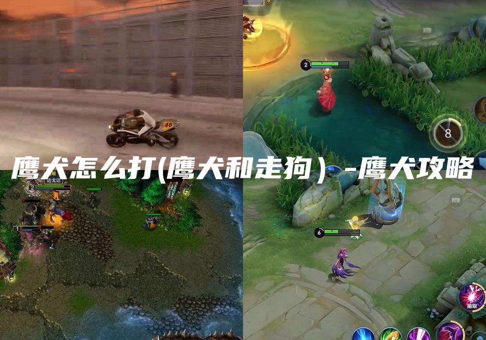 鹰犬怎么打(鹰犬和走狗）-鹰犬攻略