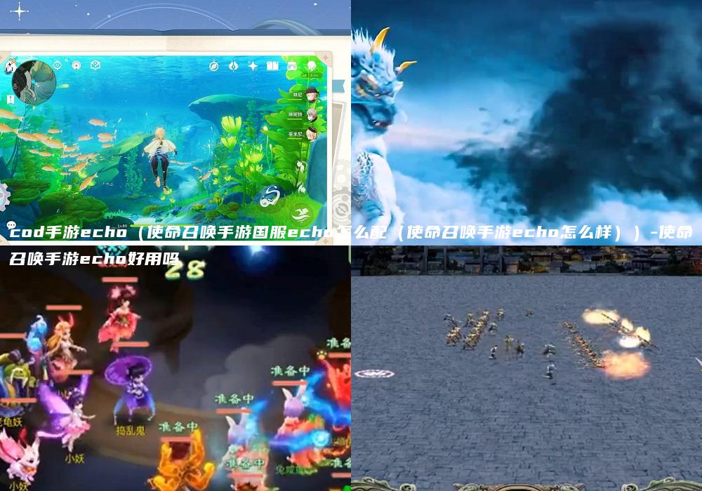 cod手游echo（使命召唤手游国服echo怎么配（使命召唤手游echo怎么样））-使命召唤手游echo好用吗
