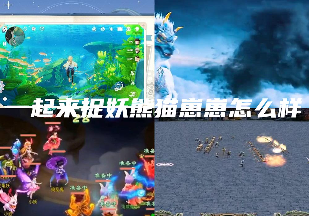 一起来捉妖熊猫崽崽怎么样