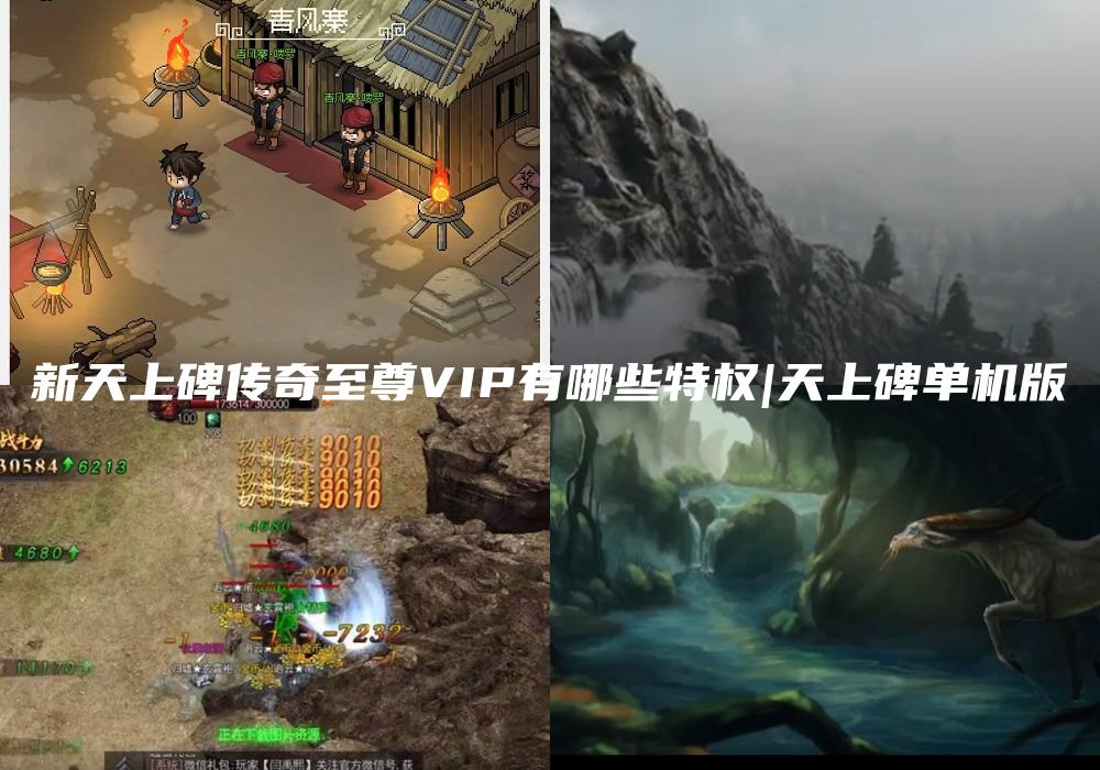 新天上碑传奇至尊VIP有哪些特权|天上碑单机版