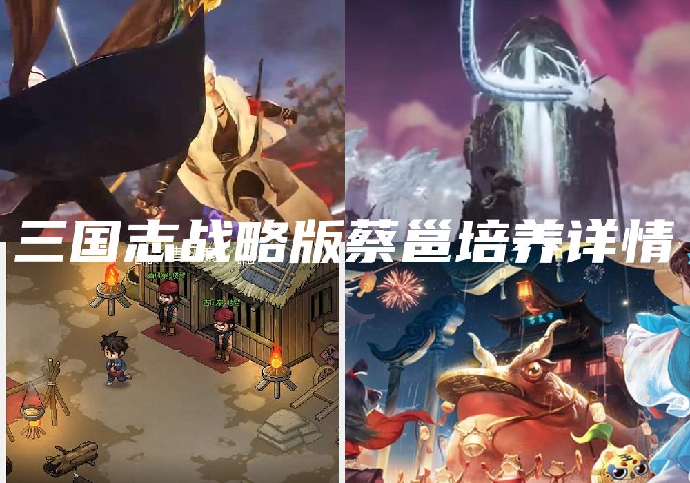三国志战略版蔡邕培养详情