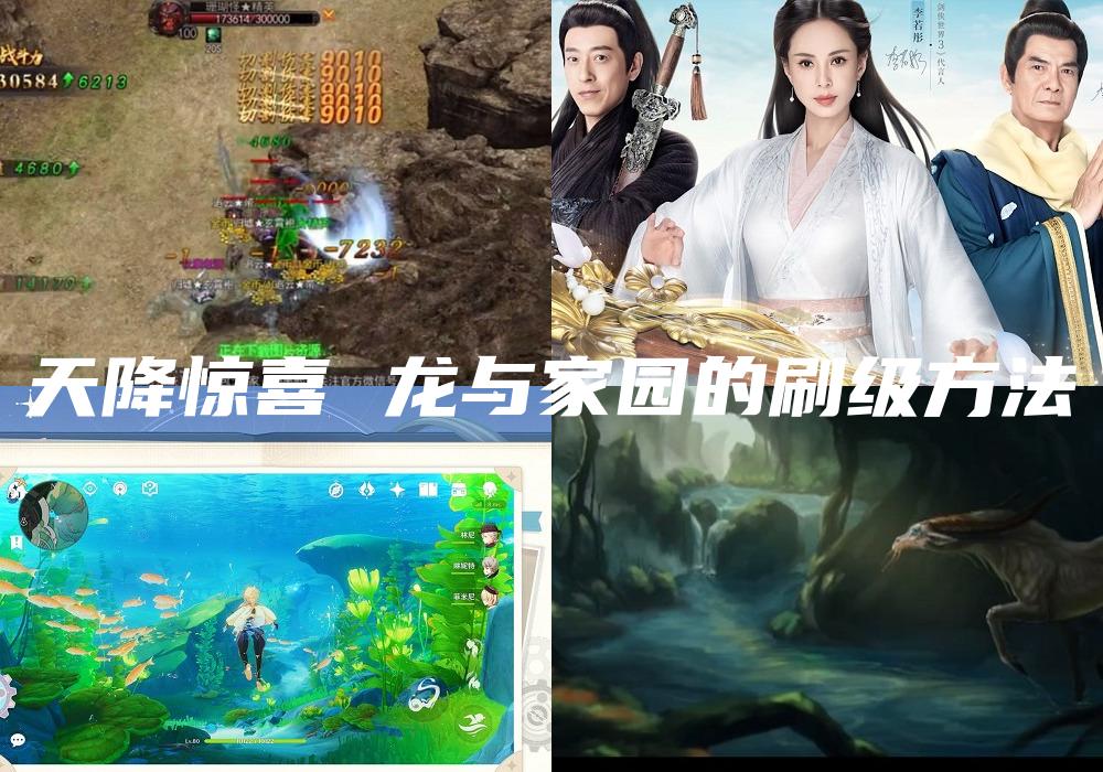 天降惊喜 龙与家园的刷级方法
