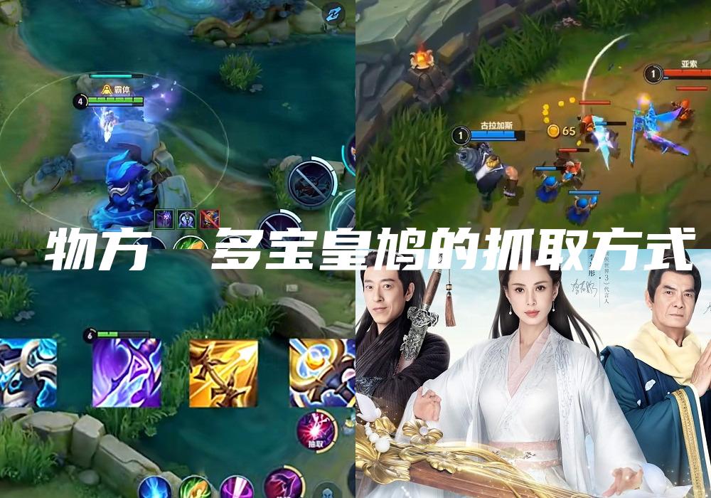 動物方層樹多宝皇鸠的抓取方式