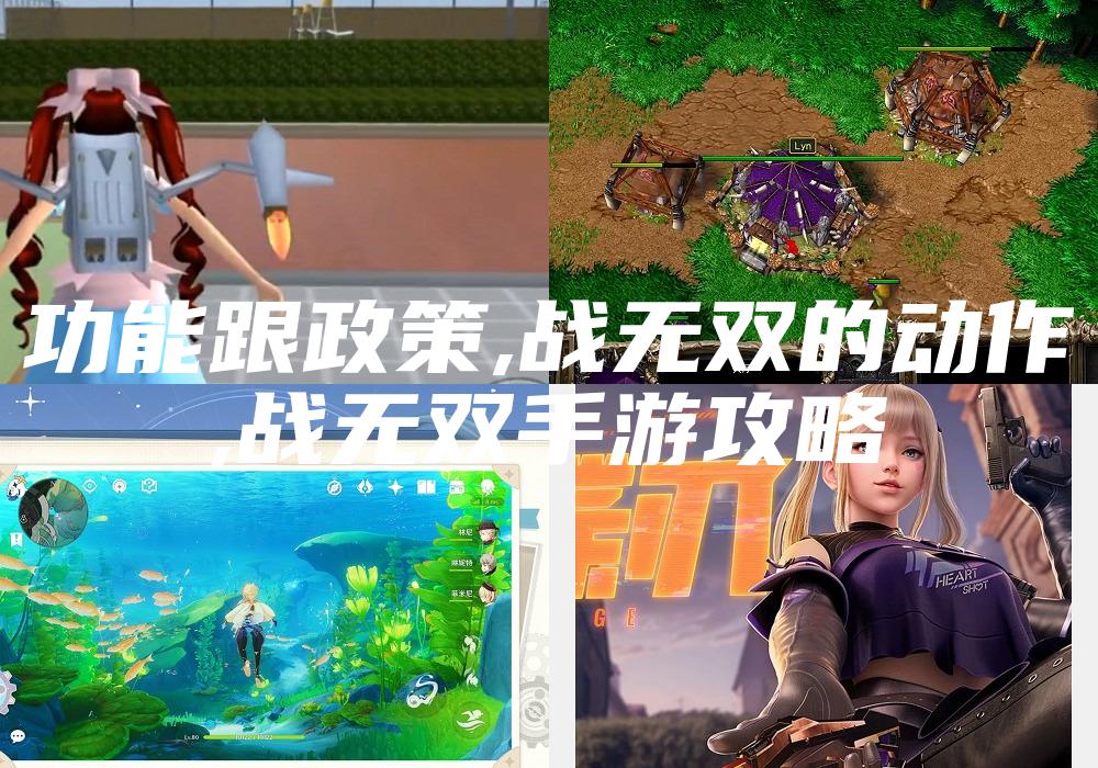 功能跟政策,战无双的动作
,战无双手游攻略