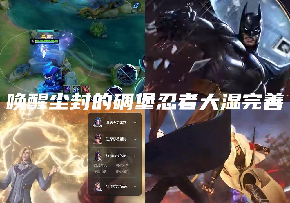 唤醒尘封的碉堡忍者大湿完善
