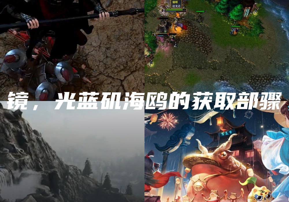 镜，光蓝矶海鸥的获取部骤