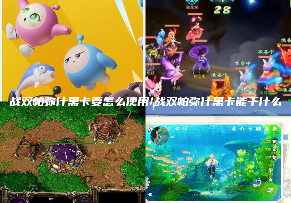 战双帕弥什黑卡要怎么使用/战双帕弥什黑卡能干什么