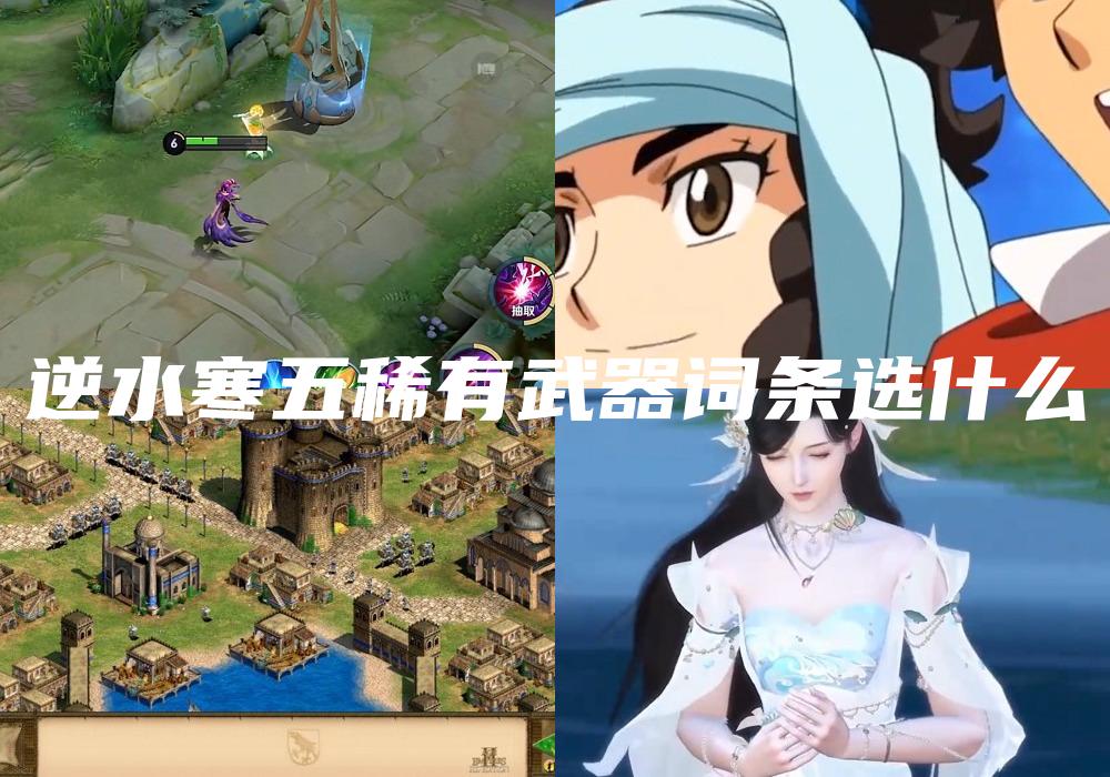 逆水寒五稀有武器词条选什么