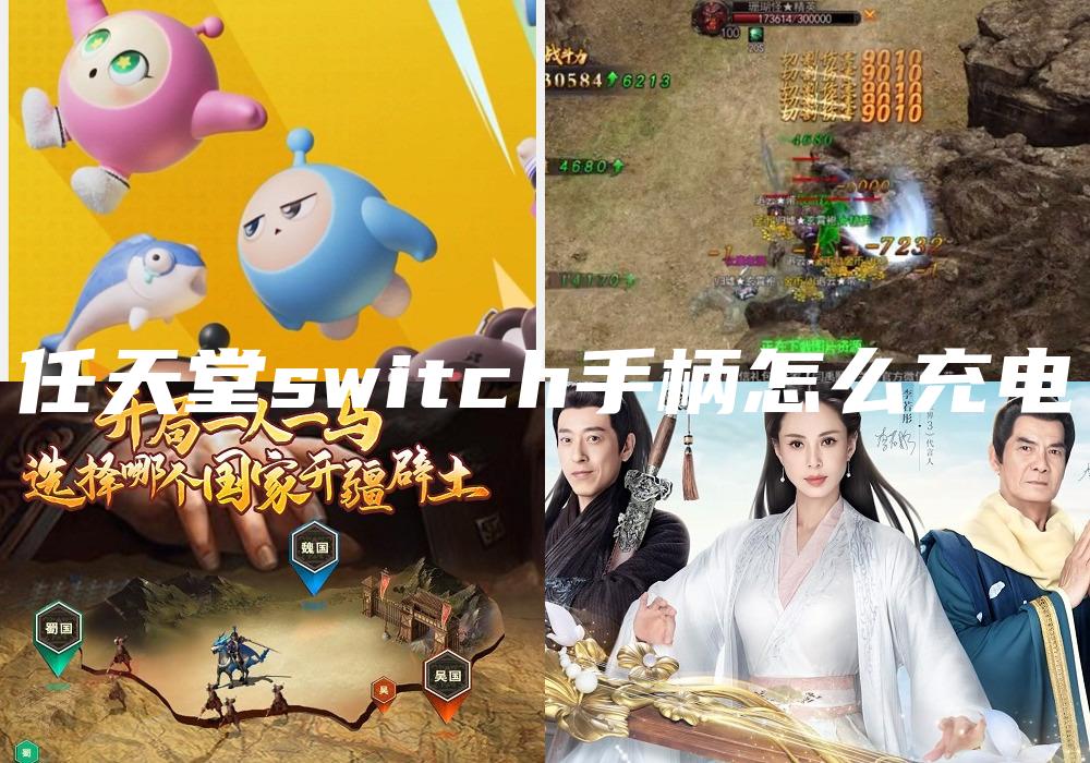 任天堂switch手柄怎么充电