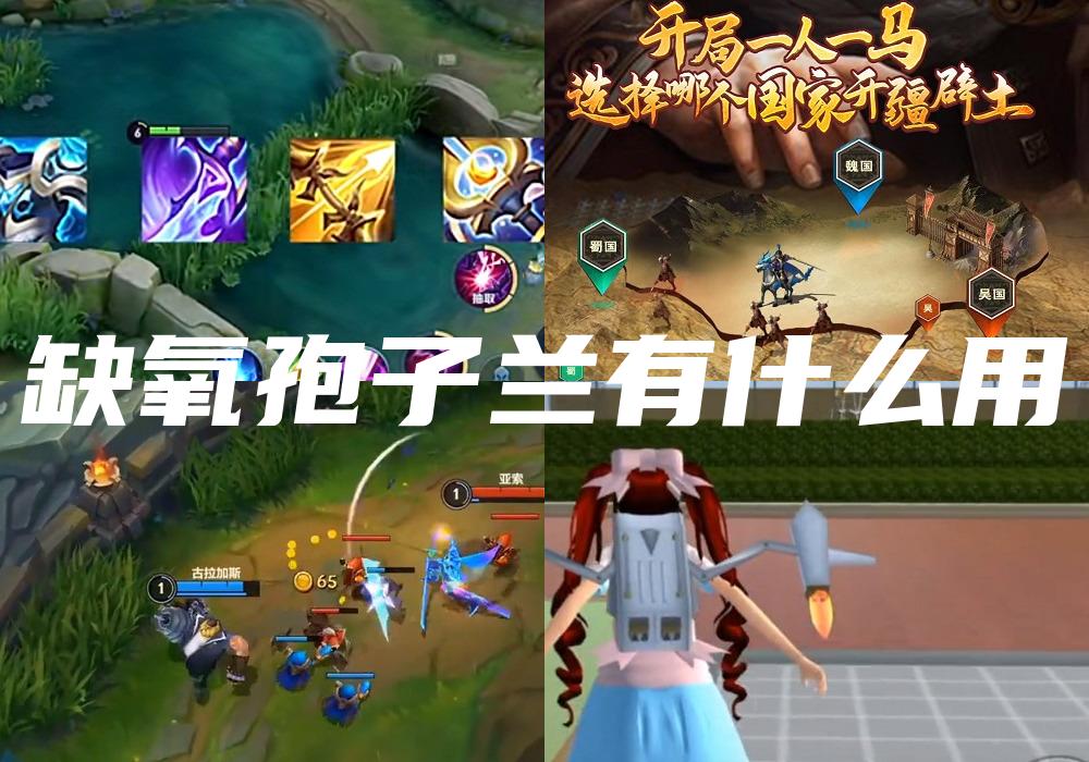 缺氧孢子兰有什么用