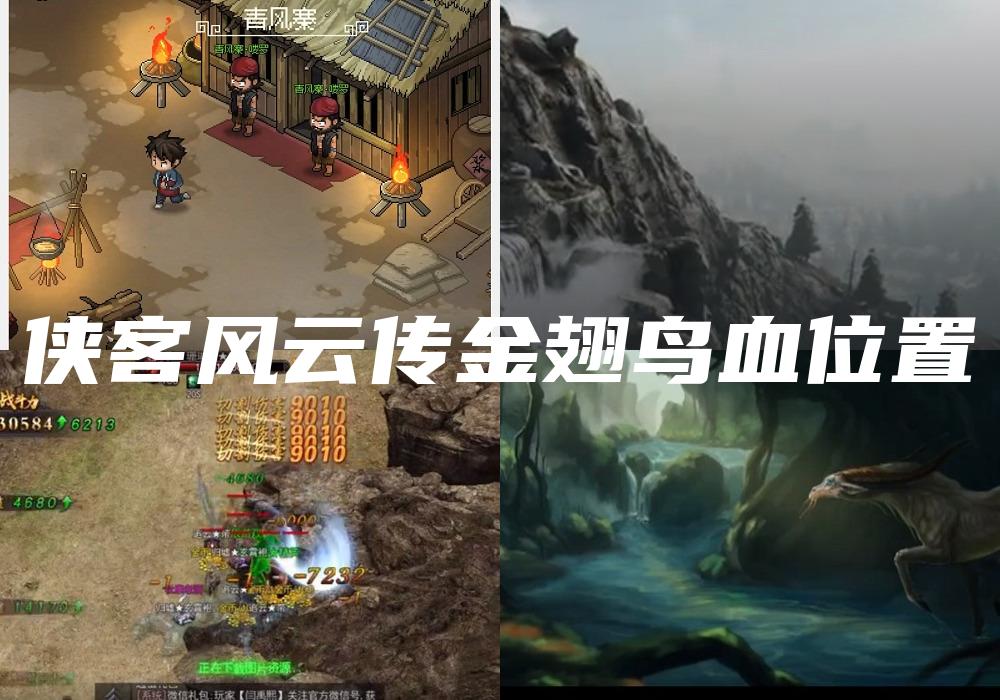 侠客风云传金翅鸟血位置