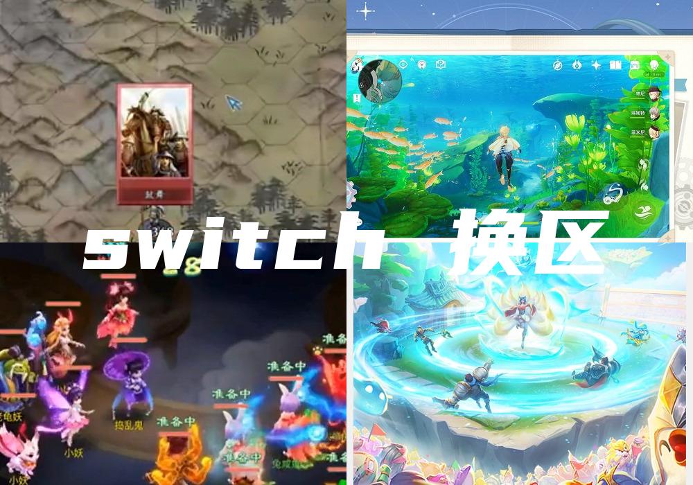 switch 换区