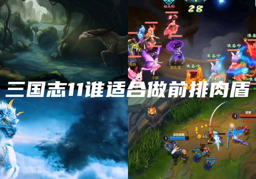 三国志11谁适合做前排肉盾