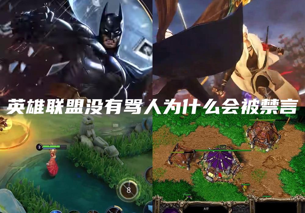 英雄联盟没有骂人为什么会被禁言