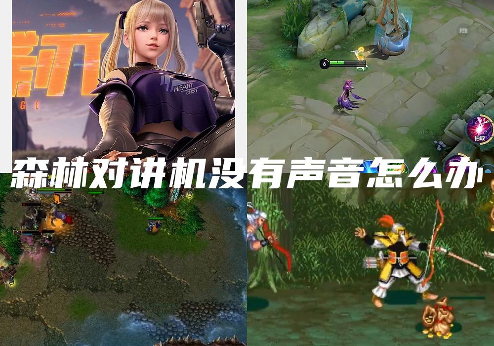 森林对讲机没有声音怎么办