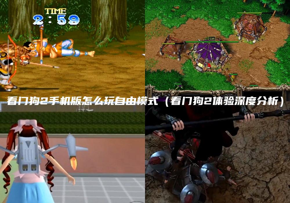 看门狗2手机版怎么玩自由模式（看门狗2体验深度分析）