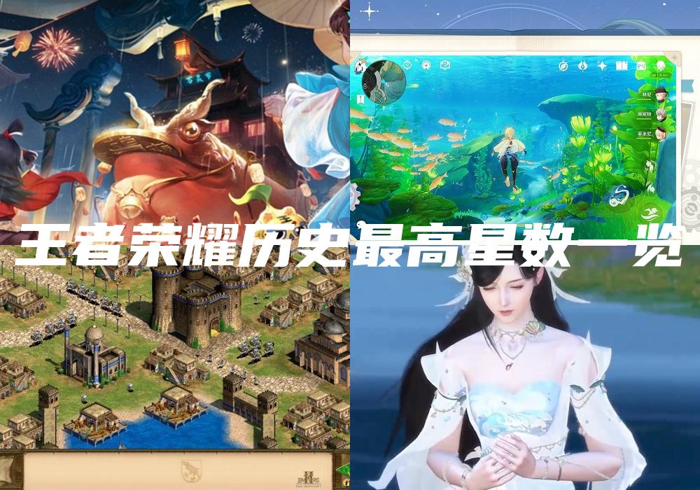 王者荣耀历史最高星数一览