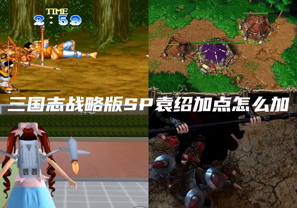三国志战略版SP袁绍加点怎么加