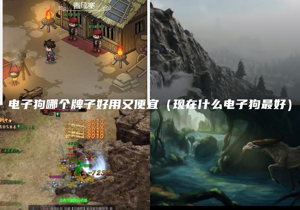 电子狗哪个牌子好用又便宜（现在什么电子狗最好）