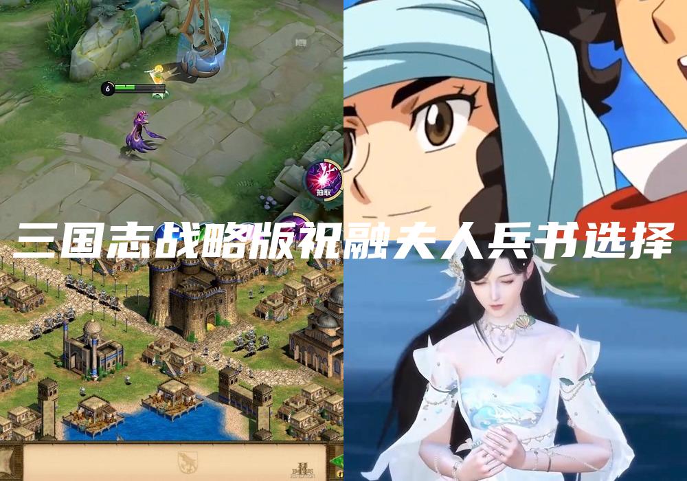 三国志战略版祝融夫人兵书选择