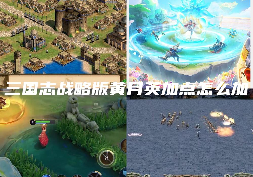 三国志战略版黄月英加点怎么加