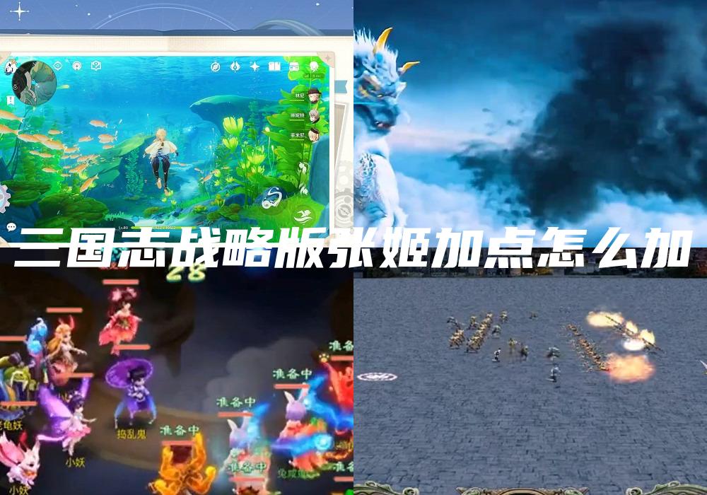 三国志战略版张姬加点怎么加