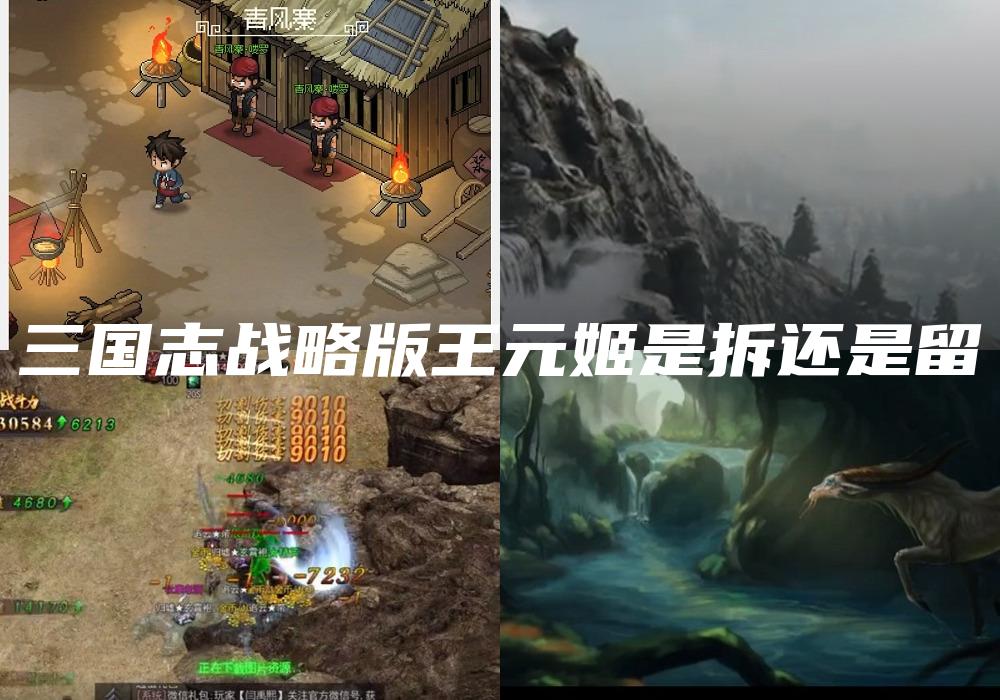 三国志战略版王元姬是拆还是留