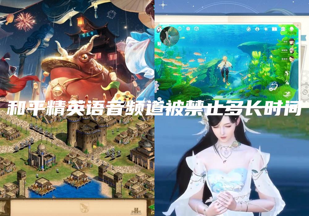 和平精英语音频道被禁止多长时间