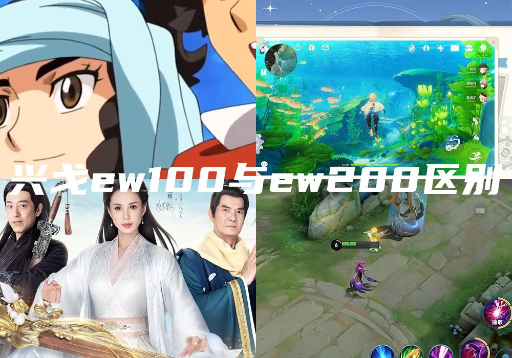 兴戈ew100与ew200区别