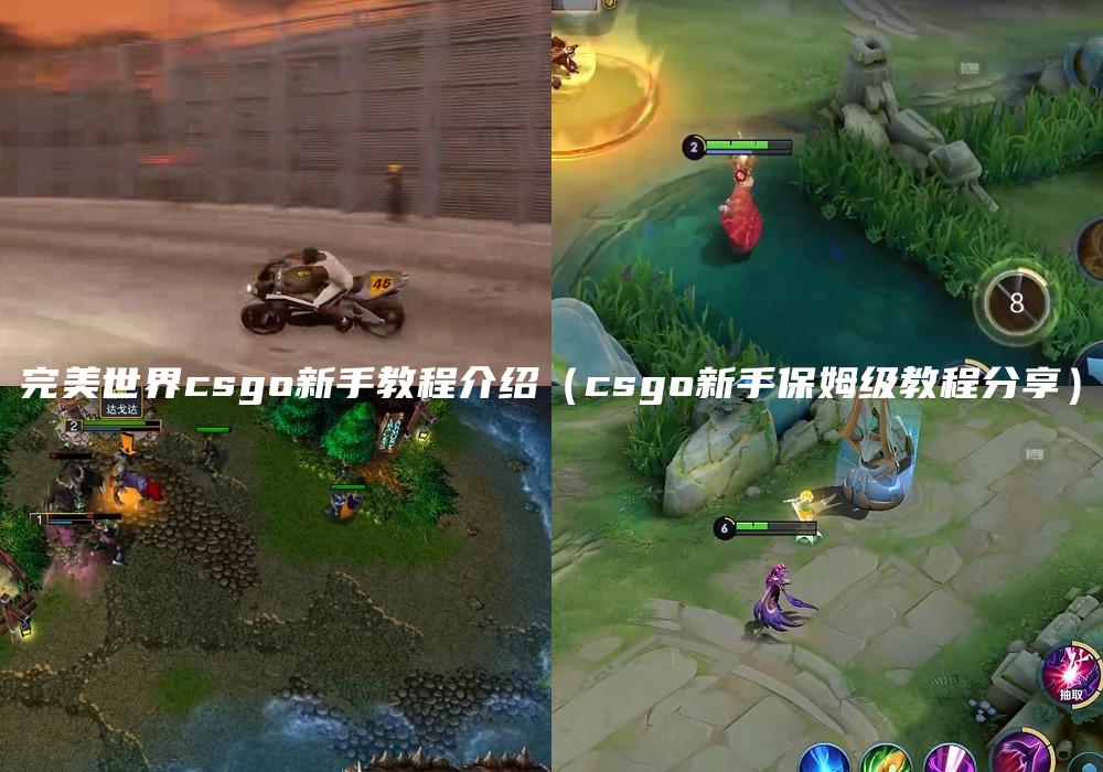 完美世界csgo新手教程介绍（csgo新手保姆级教程分享）