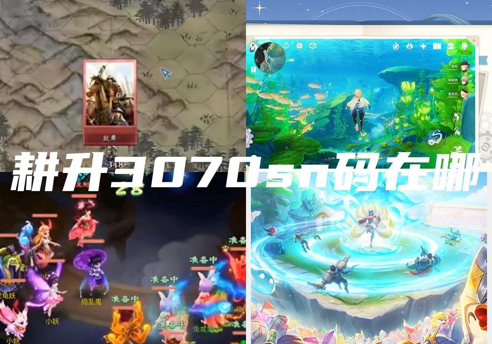 耕升3070sn码在哪