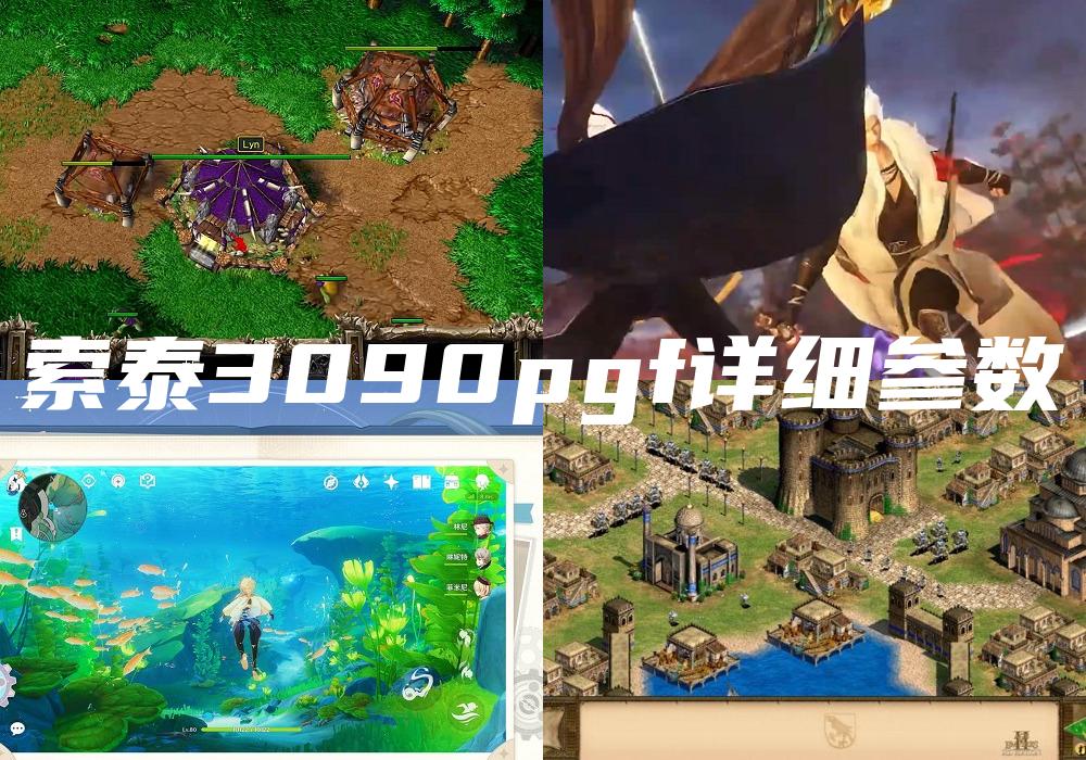 索泰3090pgf详细参数
