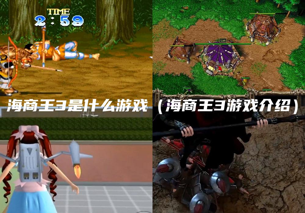 海商王3是什么游戏（海商王3游戏介绍）