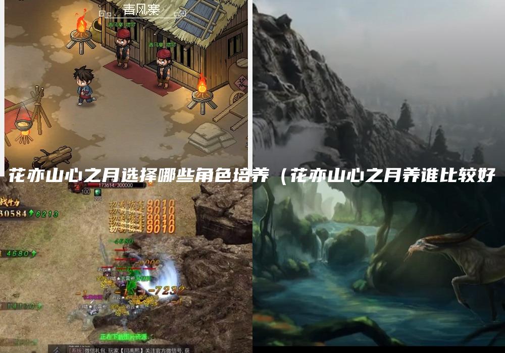 花亦山心之月选择哪些角色培养（花亦山心之月养谁比较好