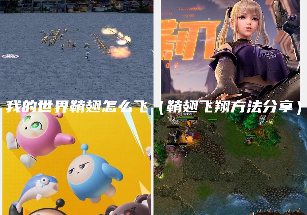 我的世界鞘翅怎么飞（鞘翅飞翔方法分享）