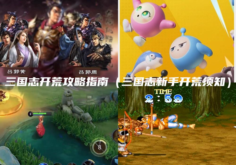 三国志开荒攻略指南（三国志新手开荒须知）
