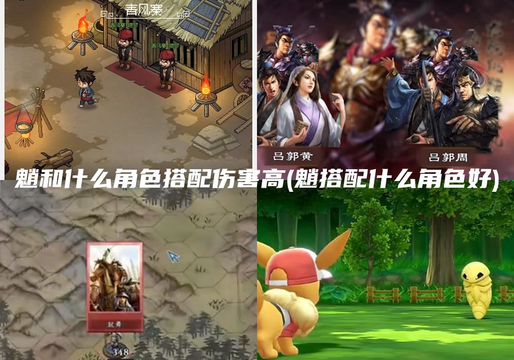 魈和什么角色搭配伤害高(魈搭配什么角色好)