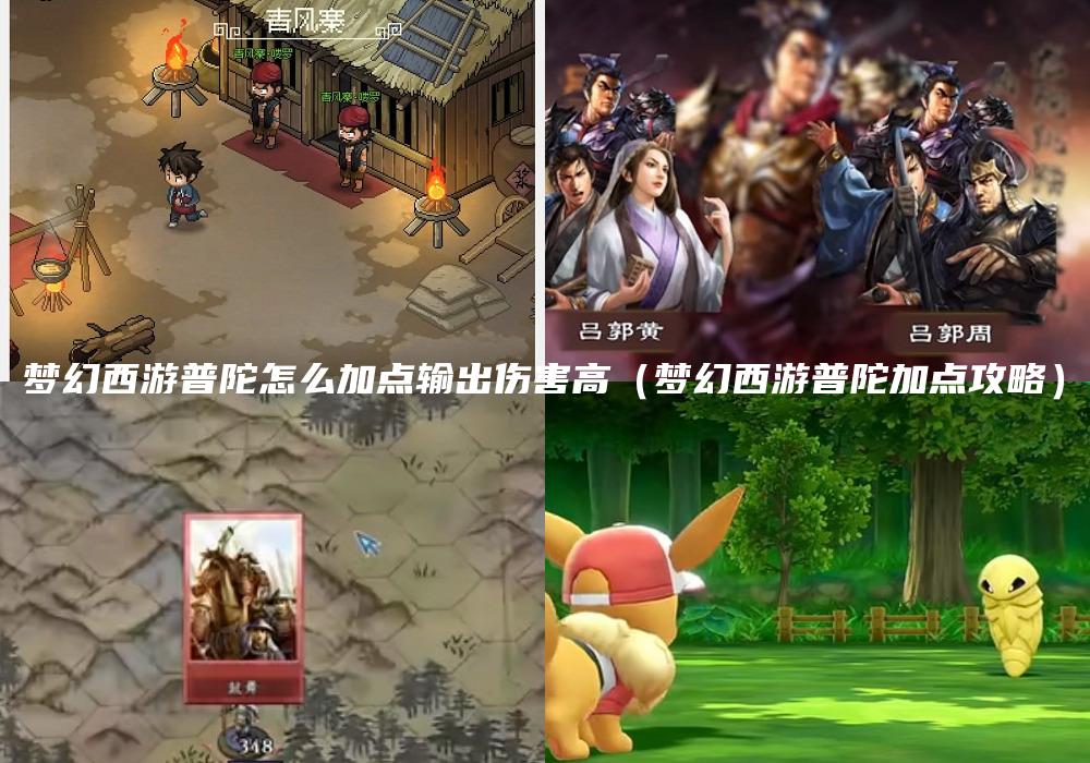 梦幻西游普陀怎么加点输出伤害高（梦幻西游普陀加点攻略）