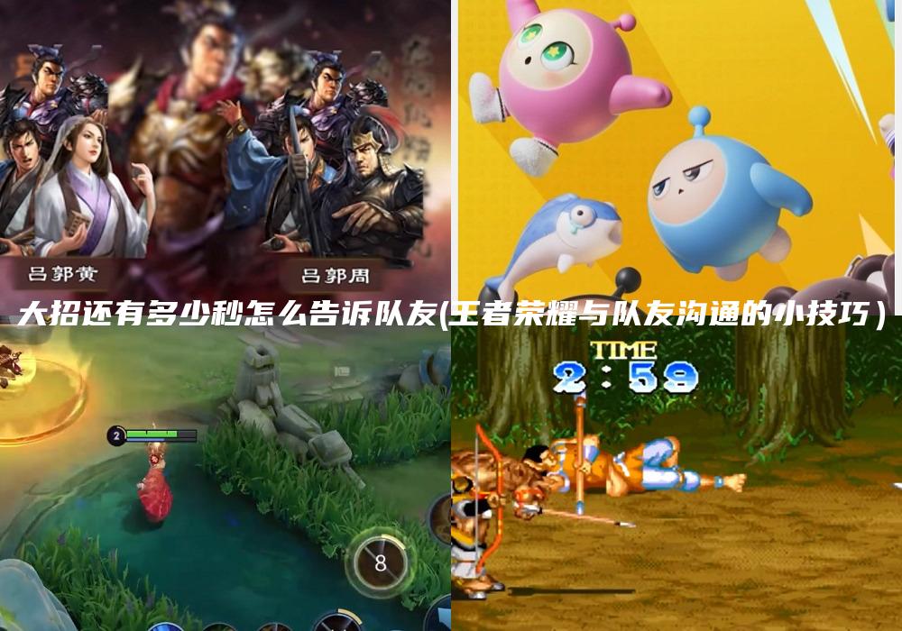 大招还有多少秒怎么告诉队友(王者荣耀与队友沟通的小技巧）