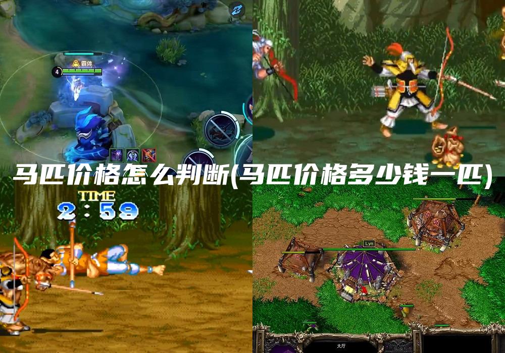 马匹价格怎么判断(马匹价格多少钱一匹)