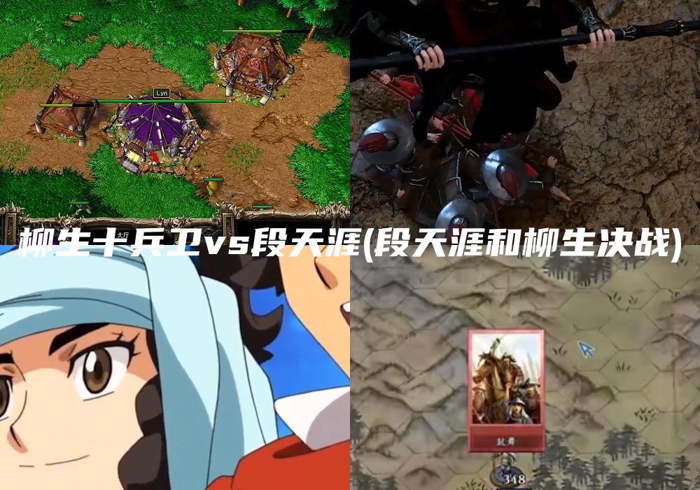 柳生十兵卫vs段天涯(段天涯和柳生决战)