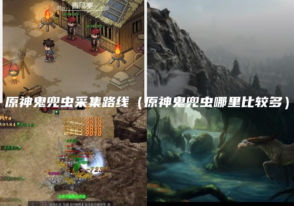 原神鬼兜虫采集路线（原神鬼兜虫哪里比较多）
