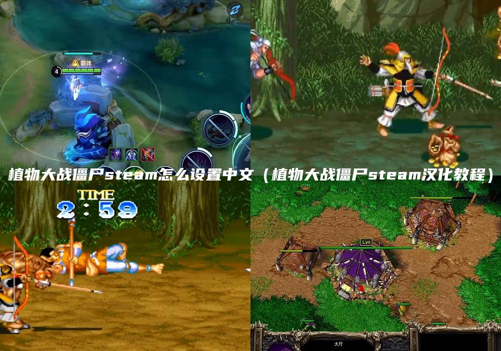 植物大战僵尸steam怎么设置中文（植物大战僵尸steam汉化教程）